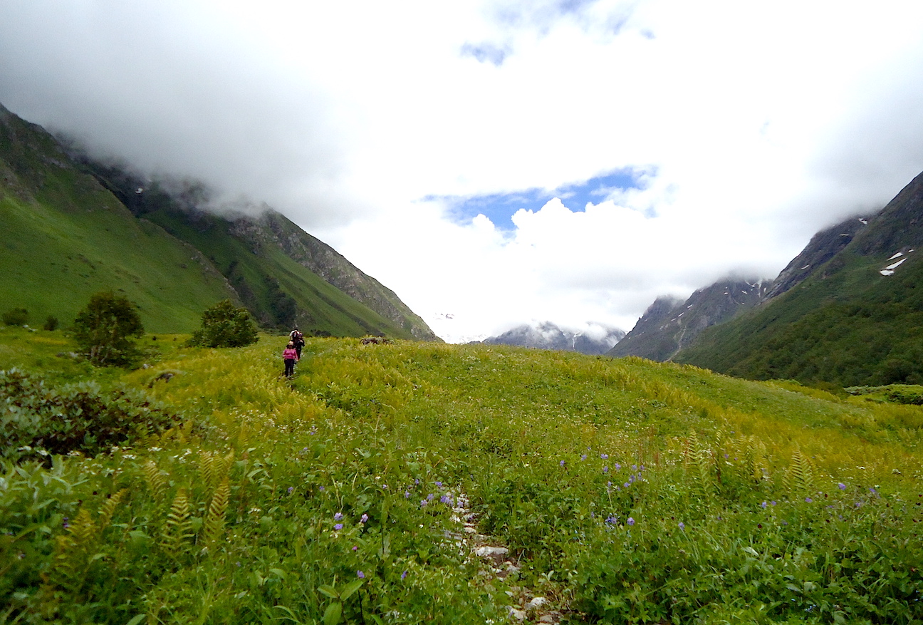 Valley of Flowers and Hemkund Sahib: A Trek with Strangers